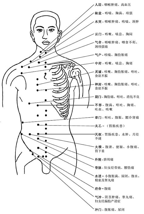 人身穴位圖